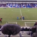 Colchester United vs Swindon Town (kick off), 2016