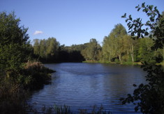 River in Highwoods Country Park, 2016