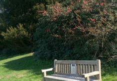 Essex Country Parks touring bench