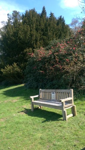 Essex Country Parks touring bench