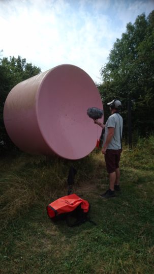 'Sound marshmallows' at Wat Tyler Country Park, Pitsea | Stuart Bowditch