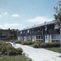 Decorating new houses in Harlow New Town, 1982