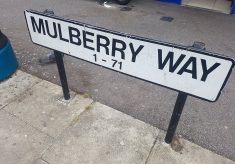No clapping for carers on Mulberry Way, 11 June 2020